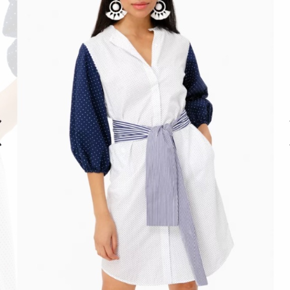 Tuckernuck Blue and White Mini Dress
